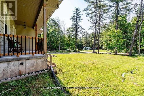 51 Pine Grove Road, Trent Hills, ON - Outdoor