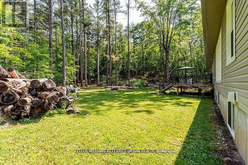 51 Pine Grove Road, Trent Hills, ON - Outdoor