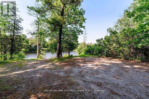 51 Pine Grove Road, Trent Hills, ON - Outdoor With View