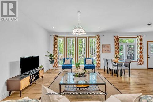 51 Pine Grove Road, Trent Hills, ON - Indoor Photo Showing Living Room