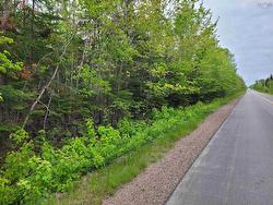 Tattrie Settlement Road  French River, NS B0K 1V0