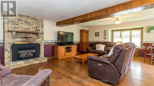 4 Conifer Crescent, London South (South B), ON - Indoor Photo Showing Living Room With Fireplace