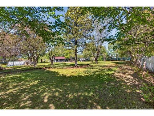 49 Mcintosh St, Miramichi, NB 