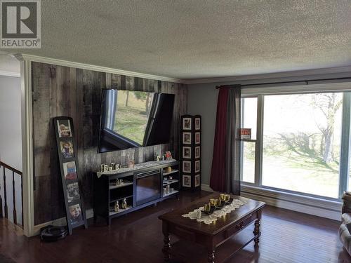 12 Forest Road, Mings Bight, NL - Indoor Photo Showing Living Room