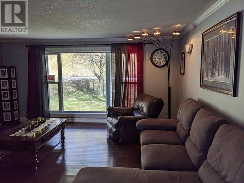 12 Forest Road, Mings Bight, NL - Indoor Photo Showing Living Room