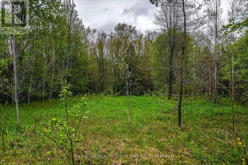 Lot 2 Thunder Beach Road, Tiny, ON 