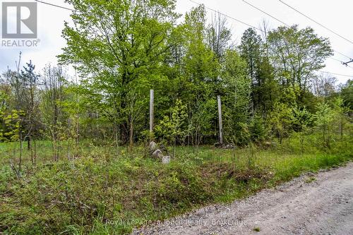 Lot 2 Thunder Beach Road, Tiny, ON 