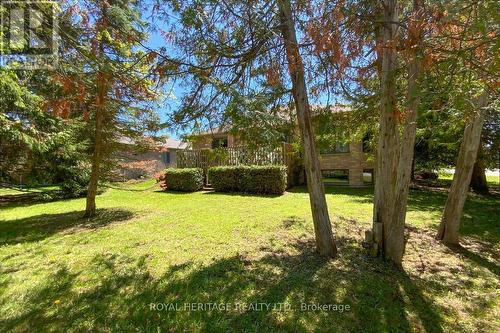 VERY PRIVATE REAR YARD - 2 Mill Street, Kawartha Lakes (Bobcaygeon), ON - Outdoor