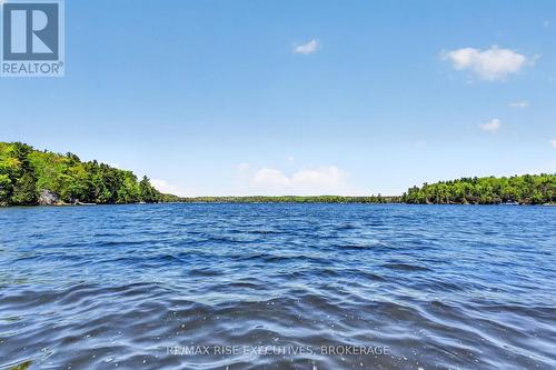 956 Roddick Lane, Leeds And The Thousand Islands, ON - Outdoor With Body Of Water With View