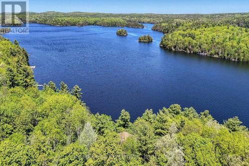 956 Roddick Lane, Leeds And The Thousand Islands, ON - Outdoor With Body Of Water With View