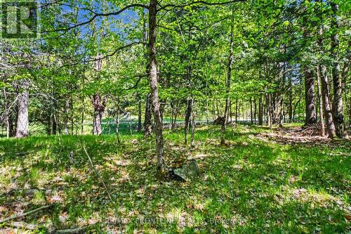 0 Healey Drive, Drummond/North Elmsley, ON 
