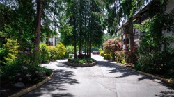 #118-1009 Mckenzie Ave  Saanich, BC V8X 4B1