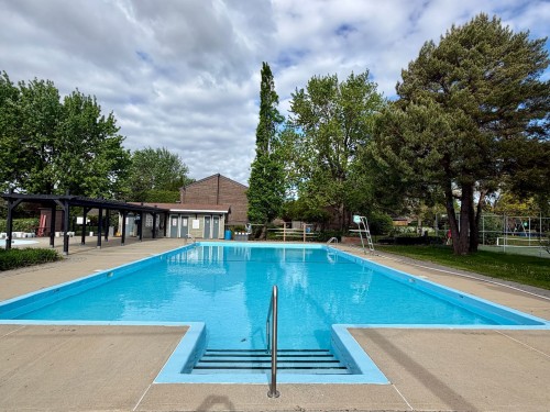Piscine - 927 Place Soulanges, Brossard, QC - Outdoor With In Ground Pool With Backyard