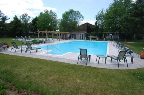 Piscine - 927 Place Soulanges, Brossard, QC - Outdoor With In Ground Pool With Backyard
