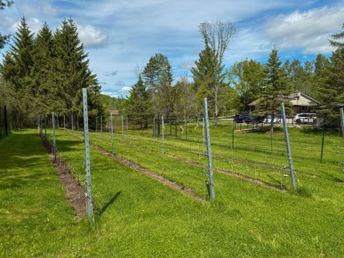 Autre - 1035Z Ch. De Valence, Sherbrooke (Fleurimont), QC - Outdoor With View