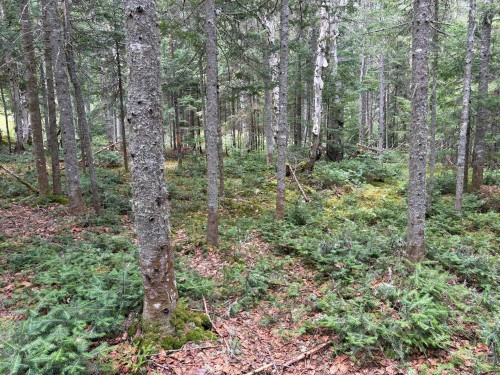 Other - Ch. Du Lac-Quenouille, Lac-Supérieur, QC 
