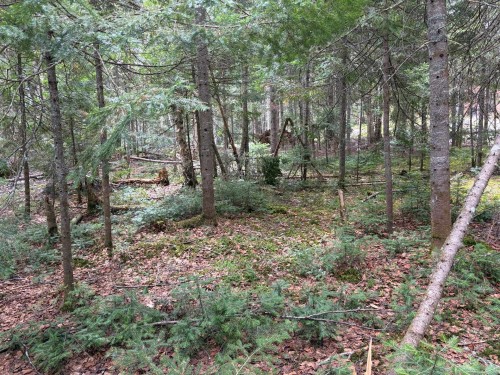 Other - Ch. Du Lac-Quenouille, Lac-Supérieur, QC 