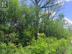 V/L CENTRALIA AVENUE N Fort Erie (Ridgeway), ON L0S 1N0