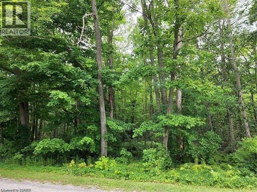 Pt Lot 20 7 Concession, Simcoe, ON 