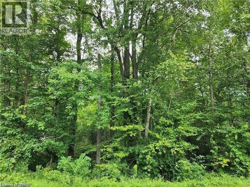 Pt Lot 20 7 Concession, Simcoe, ON 