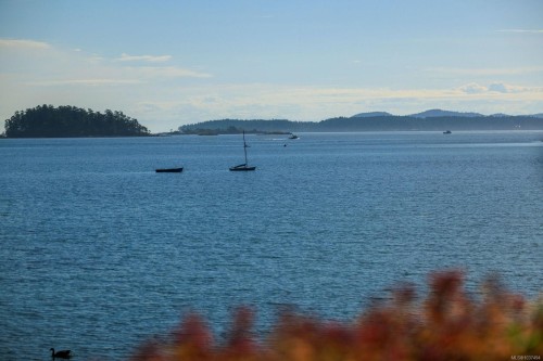 10303 Resthaven Dr, Sidney, BC - Outdoor With Body Of Water With View