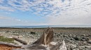 1494 Wilkinson Rd, Comox, BC 