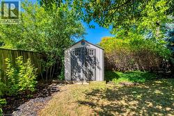 Backyard featuring a shed with double doors and a side window, surrounded by mature trees and shrubs, a wooden fence, and a combination of grass and mulched areas - 