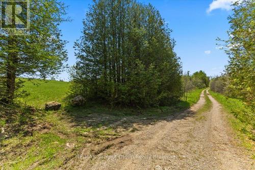 W Pt Lt 15 Sideroad 16B, Grey Highlands, ON 