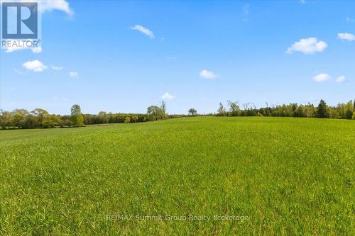 W Pt Lt 15 Sideroad 16B, Grey Highlands, ON 