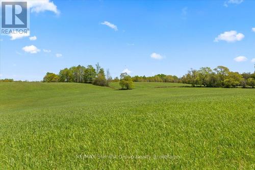 W Pt Lt 15 Sideroad 16B, Grey Highlands, ON 