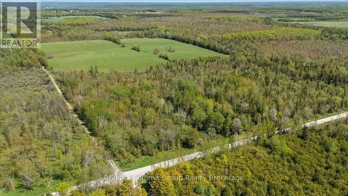 W Pt Lt 15 Sideroad 16B, Grey Highlands, ON 