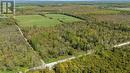 W Pt Lt 15 Sideroad 16B, Grey Highlands, ON 