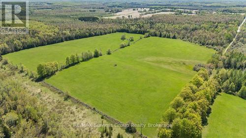 W Pt Lt 15 Sideroad 16B, Grey Highlands, ON 