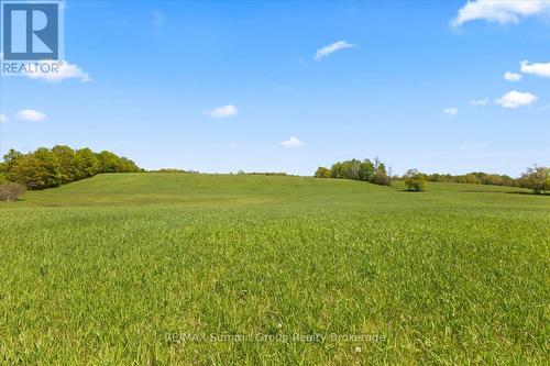 W Pt Lt 15 Sideroad 16B, Grey Highlands, ON 