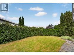 large grass yard to play on! - 
