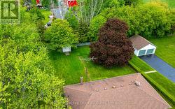 Backyard - 