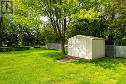 Backyard - 