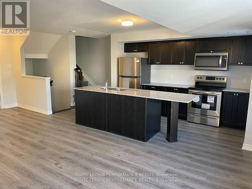 704 Kizis Private, Ottawa, ON - Indoor Photo Showing Kitchen With Stainless Steel Kitchen