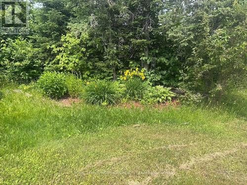 372 Spruce Avenue, Cochrane, ON 