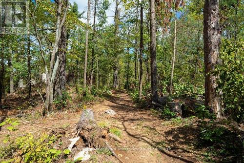 258 Skootamatta Lake, Addington Highlands (Addington Highlands), ON - Outdoor With View