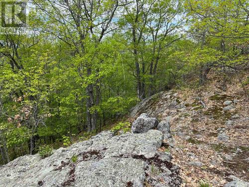 0 Wales Drive, Madawaska Valley, ON 