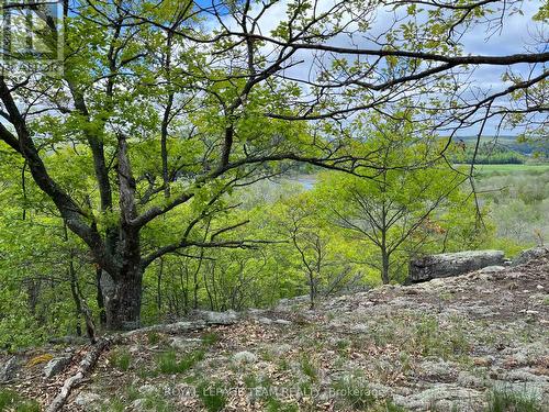 0 Wales Drive, Madawaska Valley, ON 