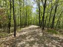 0 Wales Drive, Madawaska Valley, ON 