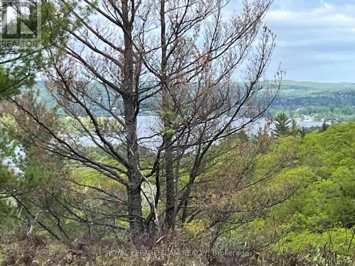 0 Wales Drive, Madawaska Valley, ON 
