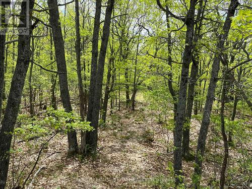 0 Wales Drive, Madawaska Valley, ON 