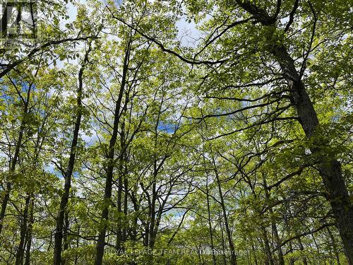 0 Wales Drive, Madawaska Valley, ON 