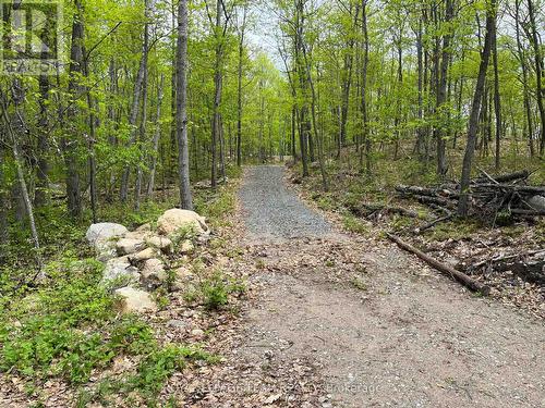 0 Wales Drive, Madawaska Valley, ON 