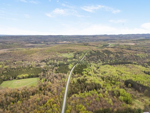 Vue d'ensemble - 49 Ch. Healy, Melbourne, QC 