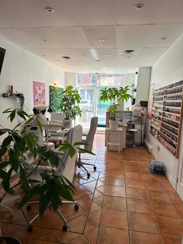 Overall view - 4745 Rue St-Denis, Montréal (Le Plateau-Mont-Royal), QC - Indoor Photo Showing Other Room