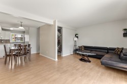 Living Room - 